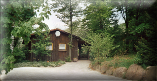 Haus 1